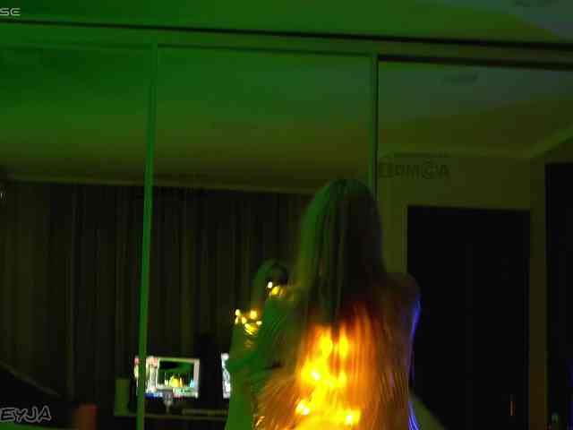 ManiFreyja webcam