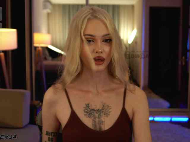 ManiFreyja webcam