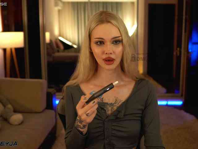 ManiFreyja webcam