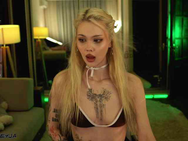 ManiFreyja webcam