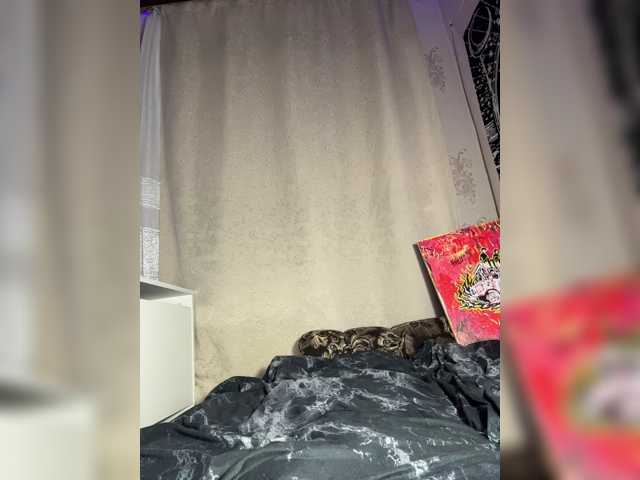 Sofelcamss live cam preview
