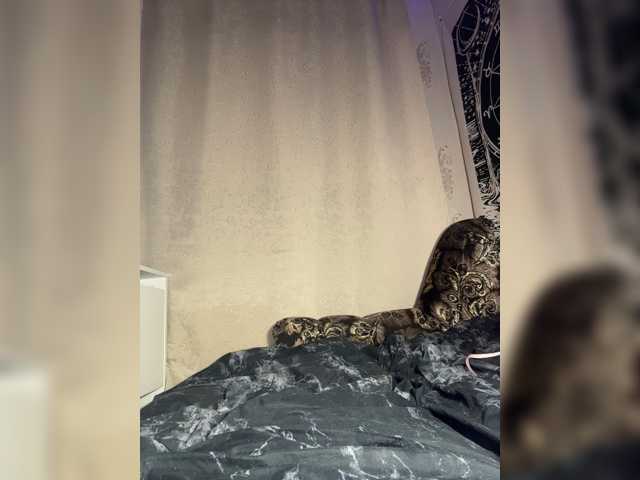 Sofelcamss
