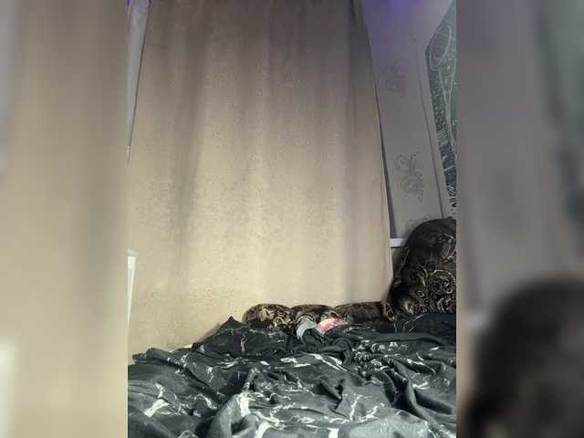 bdsmcamss live cam