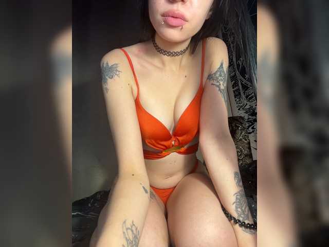 bdsmcamss