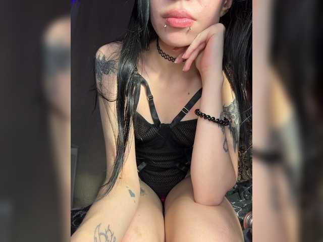 Sofelcamss