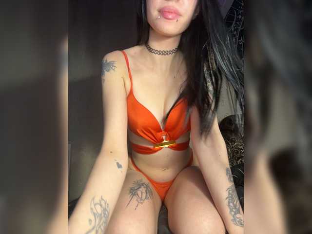 Sofelcamss