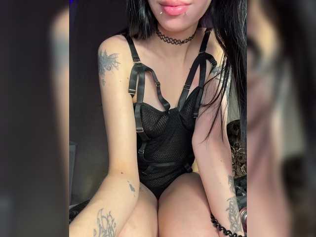 Sofelcamss