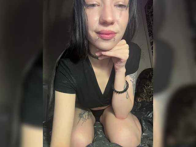 Sofelcamss