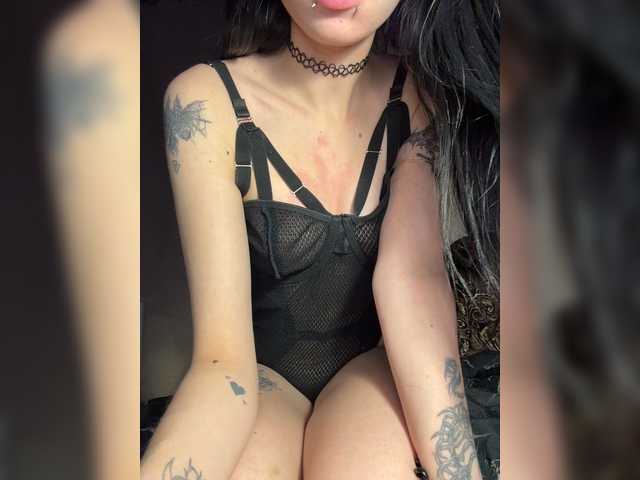 Sofelcamss
