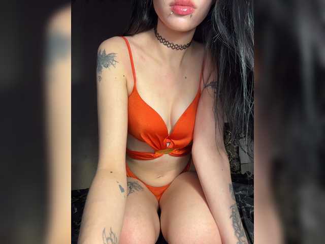 Sofelcamss