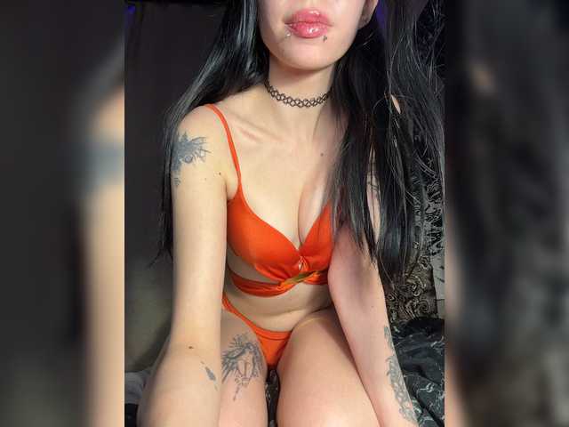 Sofelcamss