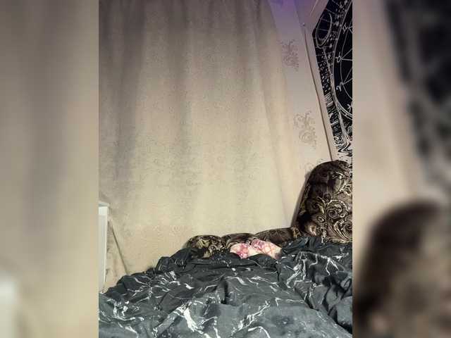 bdsmcamss