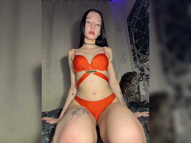 bdsmcamss