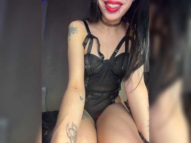 Sofelcamss