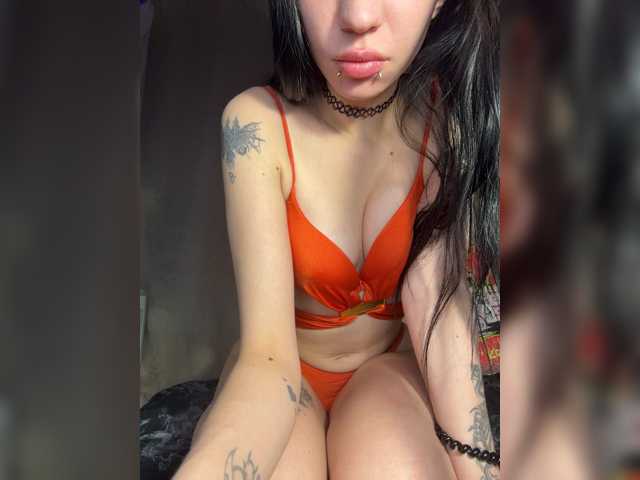 bdsmcamss