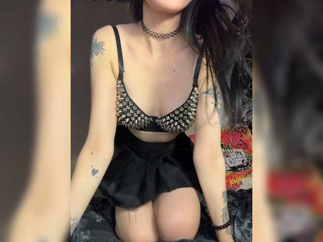 bdsmcamss