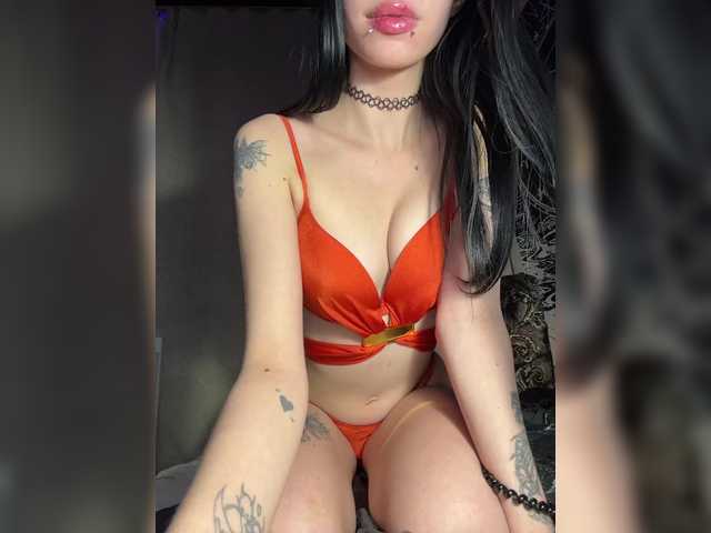 Sofelcamss