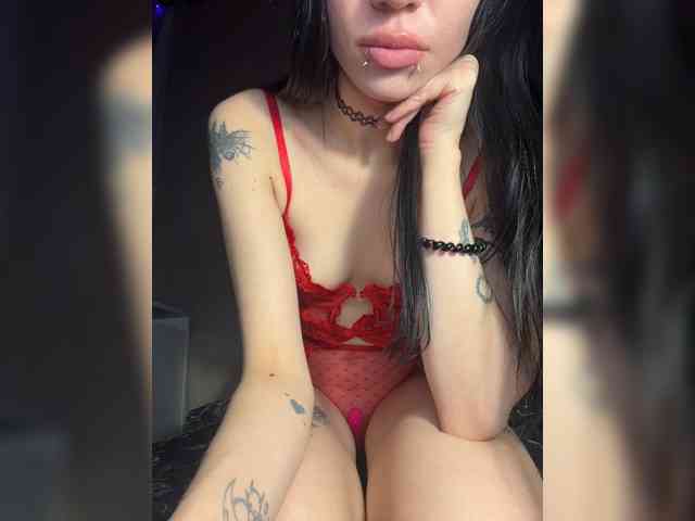 Sofelcamss webcam