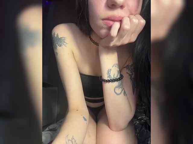 Sofelcamss webcam