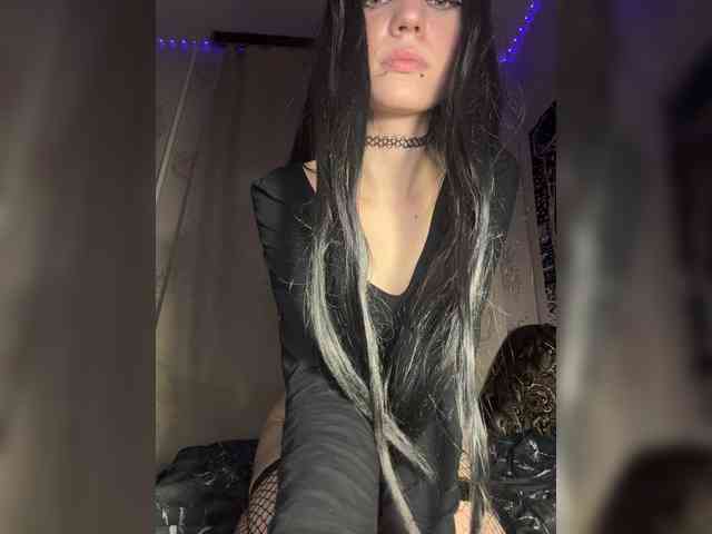 Sofelcamss webcam