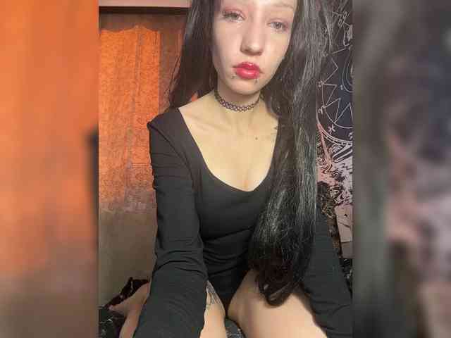 Sofelcamss webcam