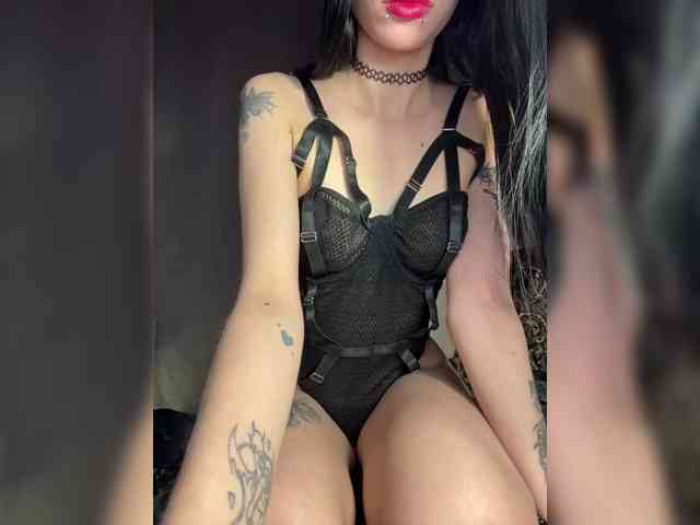 bdsmcamss