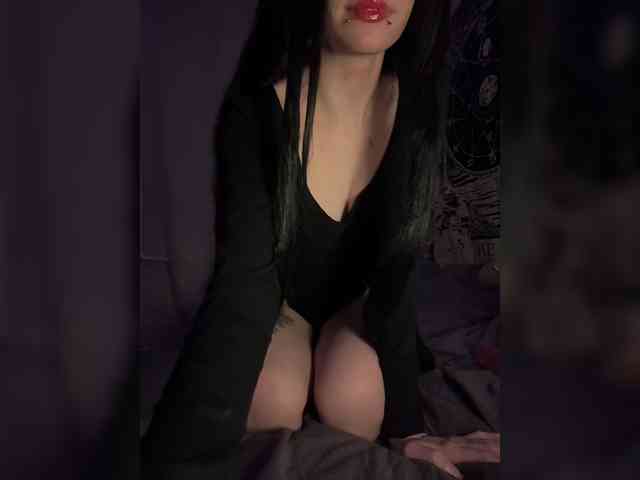 Sofelcamss webcam