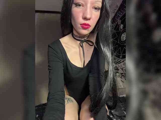 Sofelcamss webcam