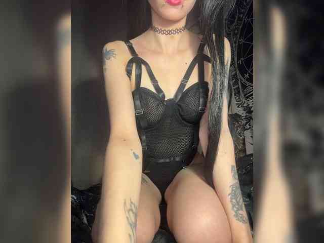 Sofelcamss webcam