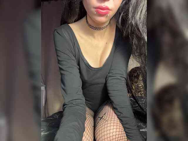 Sofelcamss webcam