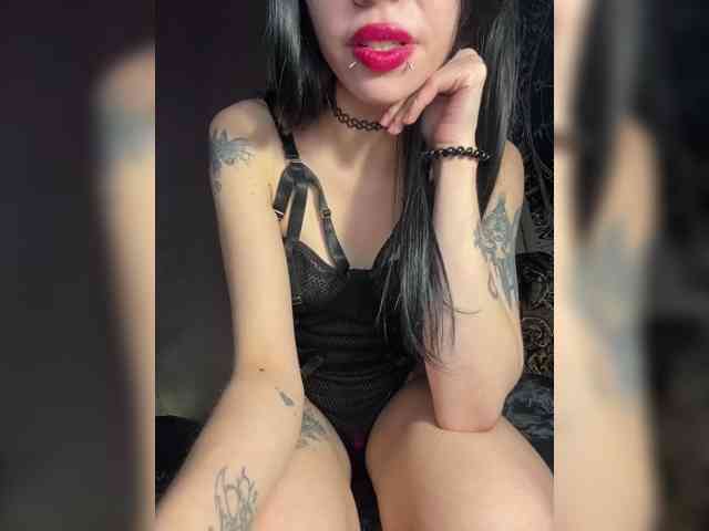 Sofelcamss