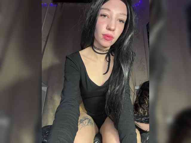 Sofelcamss webcam