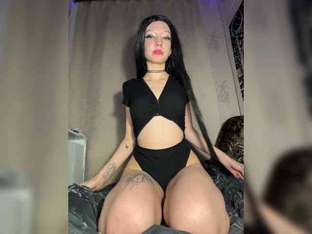 Sofelcamss webcam