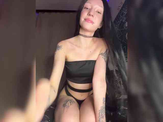 Sofelcamss webcam