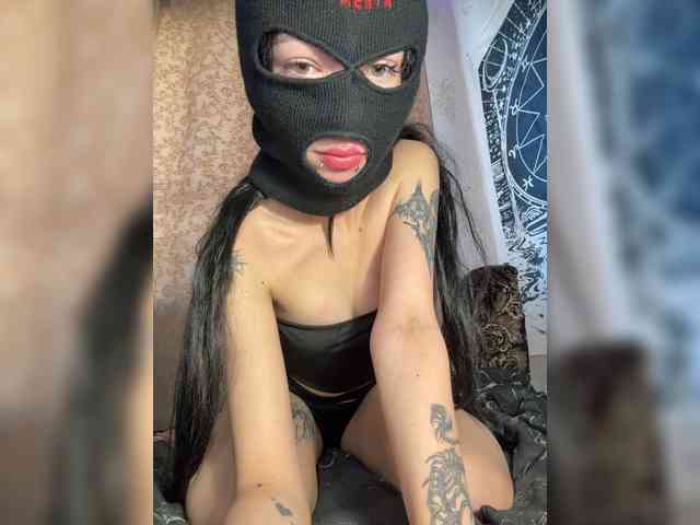 Sofelcamss webcam
