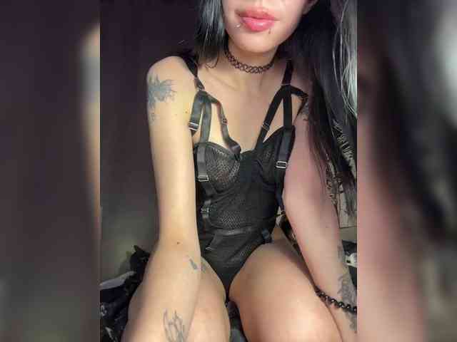 Sofelcamss webcam