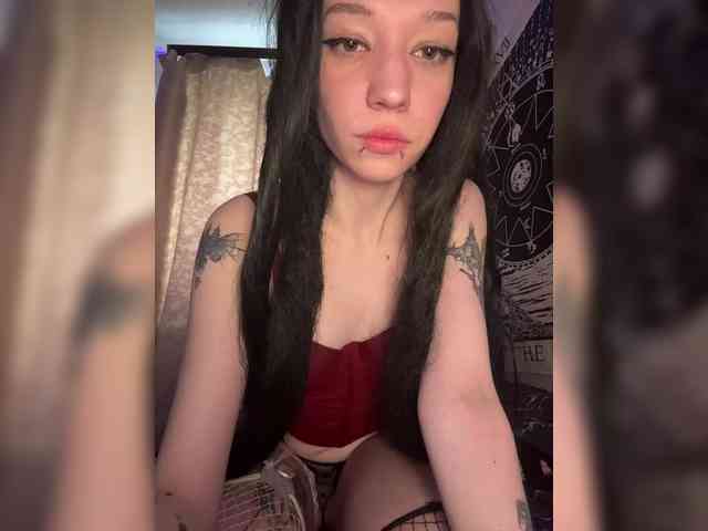 Sofelcamss
