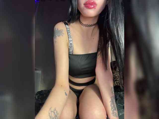 Sofelcamss webcam