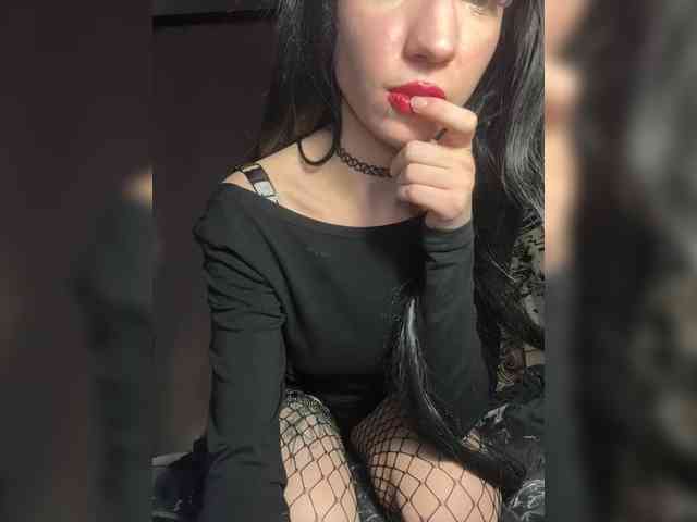 Sofelcamss webcam