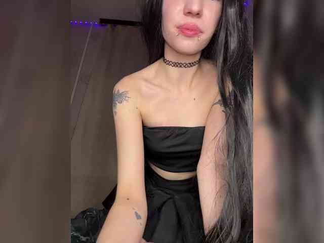 Sofelcamss webcam