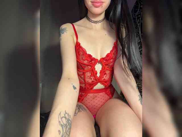 Sofelcamss webcam