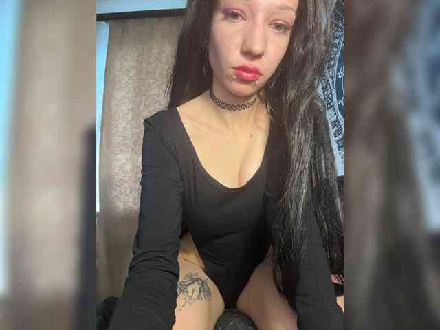 Sofelcamss webcam