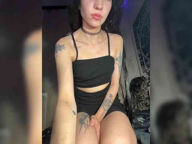 Sofelcamss webcam