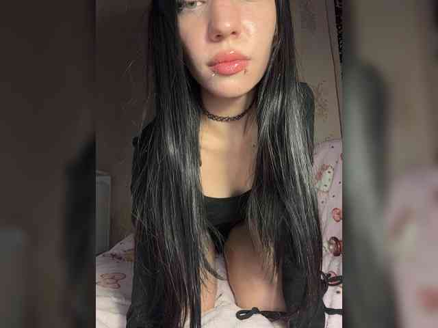 Sofelcamss webcam