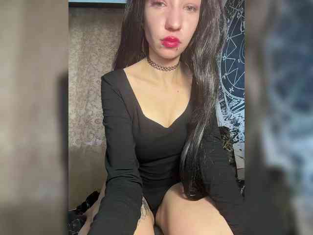 Sofelcamss webcam
