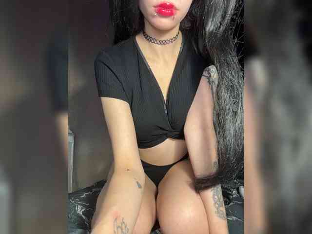Sofelcamss webcam