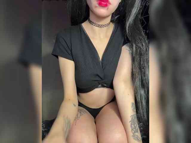 Sofelcamss webcam