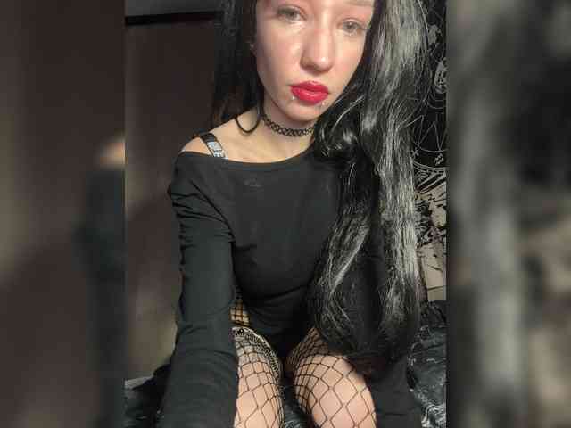 Sofelcamss webcam