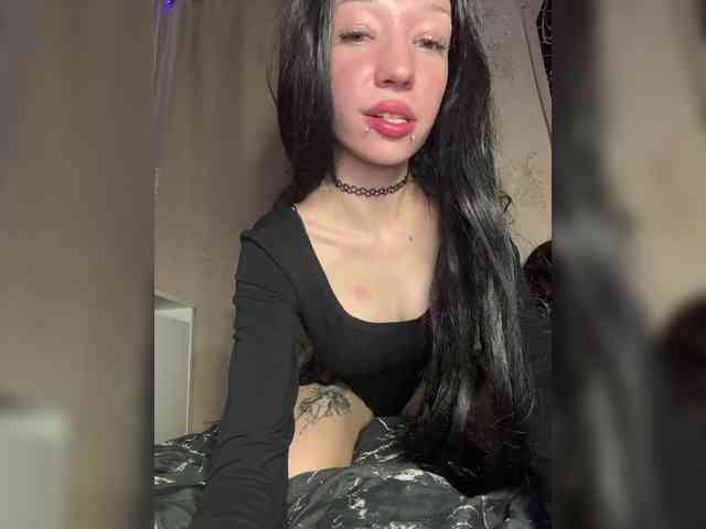Sofelcamss