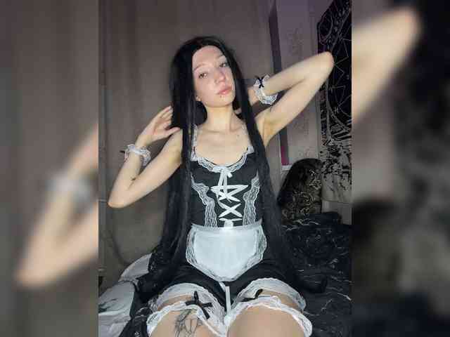 Sofelcamss webcam